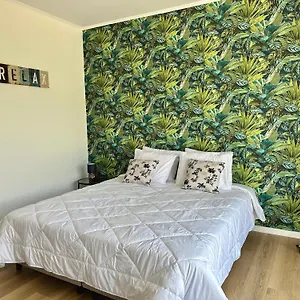 Oasis - Apartment